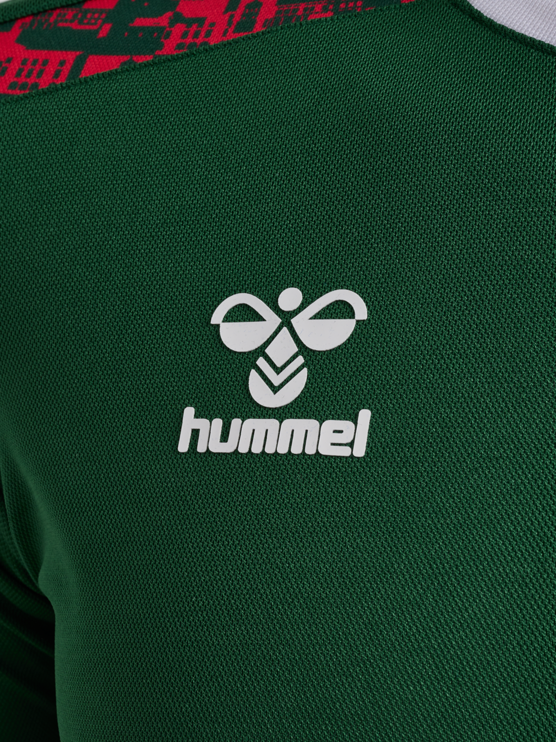 SDE 24/25 COMMUNITY JERSEY S/S, EDEN, packshot